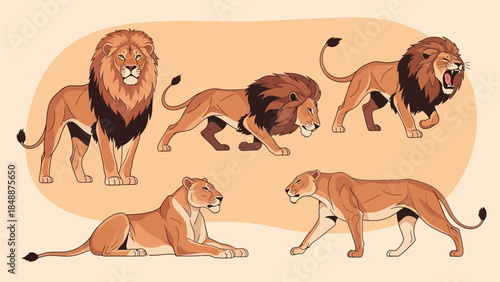 Collection of Five Majestic Lions in Various Poses, Showcasing Their Regal Nature and Power