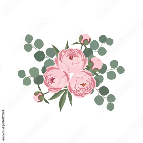 Pink peony flowers and eucalyptus leaves arranged in a floral composition with buds on a white background