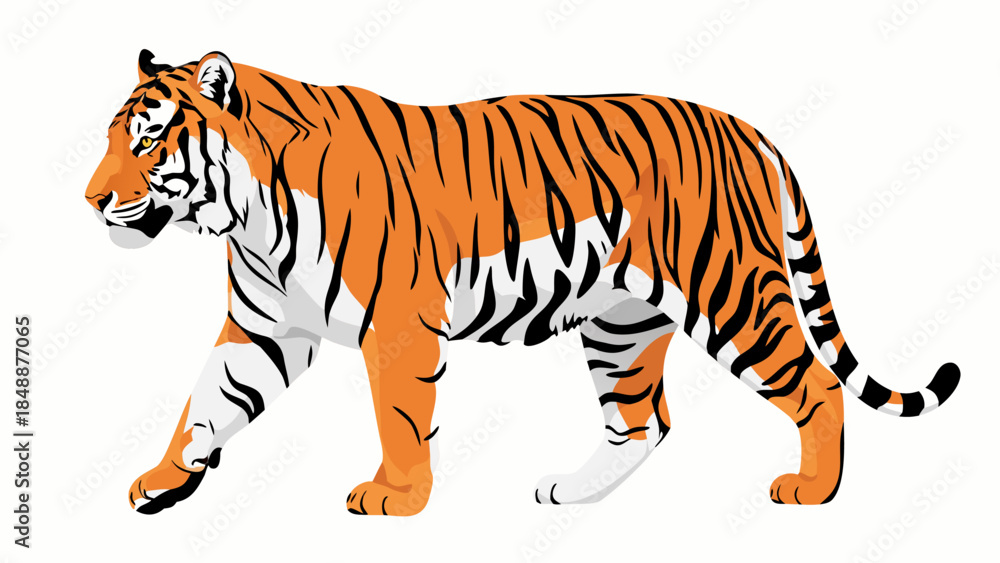 Obraz premium A powerful and majestic tiger in a side profile, showcasing its iconic orange and black stripes against a clean white background