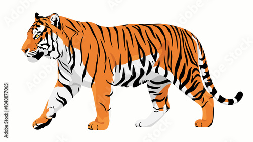 A powerful and majestic tiger in a side profile, showcasing its iconic orange and black stripes against a clean white background