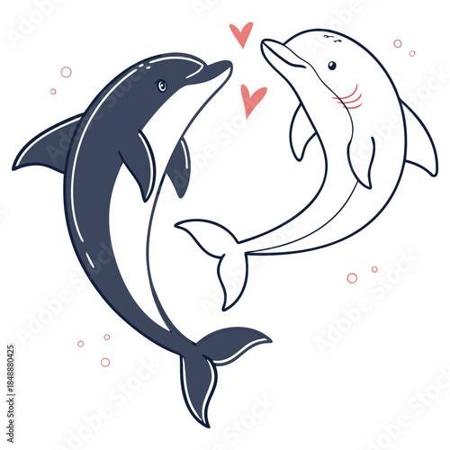 Two dolphins in love