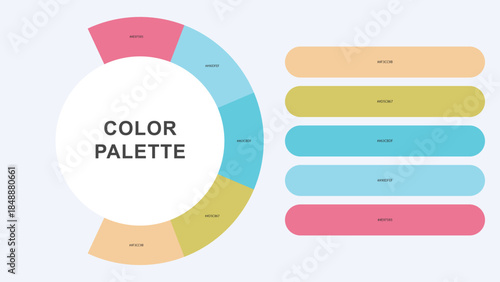 Pastel Color Palette Infographic – Modern Circular Chart with Hex Codes Vector
