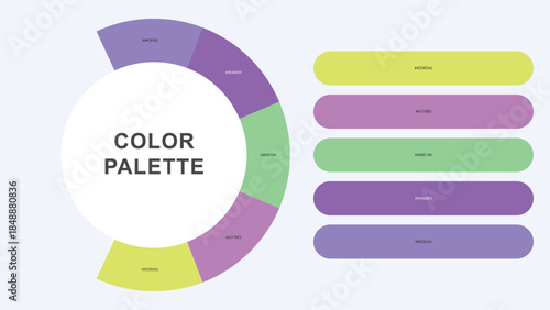 Pastel Color Palette Infographic – Modern Circular Chart with Hex Codes Vector