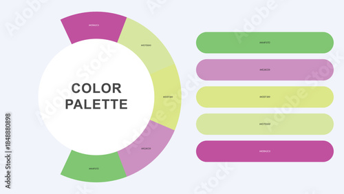 Pastel Color Palette Infographic – Modern Circular Chart with Hex Codes Vector