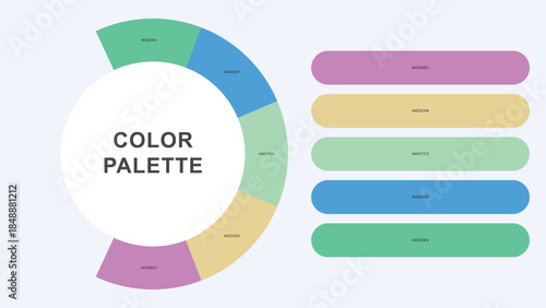 Pastel Color Palette Infographic – Modern Circular Chart with Hex Codes Vector
