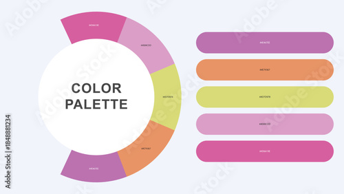 Pastel Color Palette Infographic – Modern Circular Chart with Hex Codes Vector