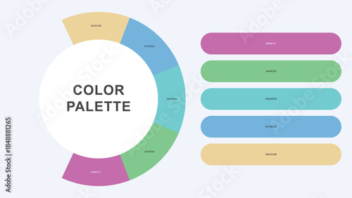 Pastel Color Palette Infographic – Modern Circular Chart with Hex Codes Vector