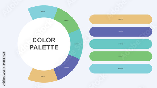 Pastel Color Palette Infographic – Modern Circular Chart with Hex Codes Vector