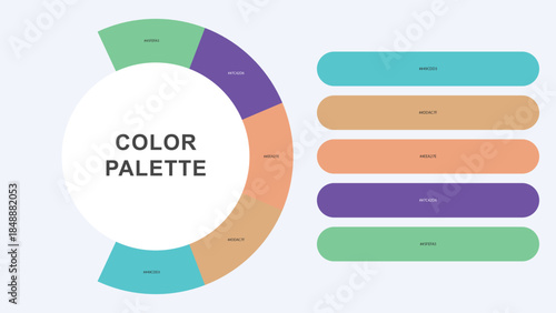 Pastel Color Palette Infographic – Modern Circular Chart with Hex Codes Vector