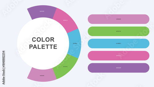 Pastel Color Palette Infographic – Modern Circular Chart with Hex Codes Vector