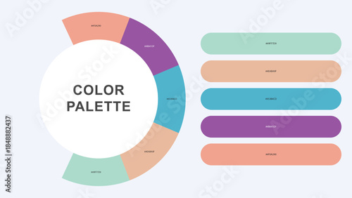Pastel Color Palette Infographic – Modern Circular Chart with Hex Codes Vector