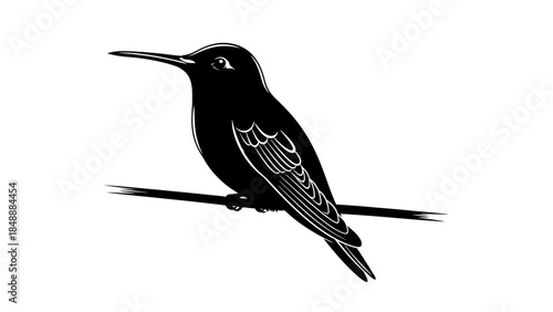 Elegant Black and White Illustration of a Hummingbird Perched on a Thin Branch in Minimalist Style