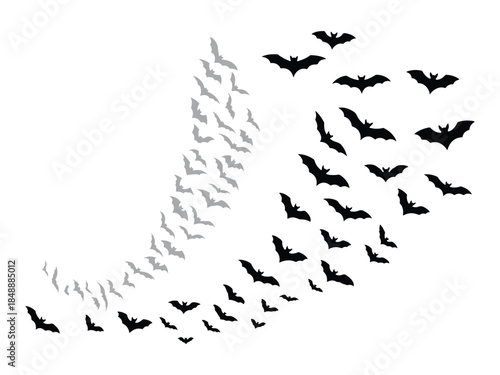 Empty vector file Vector, illustration