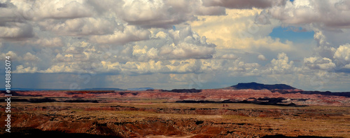 Bleak Landscape Petrified Forest National Park Arizona
