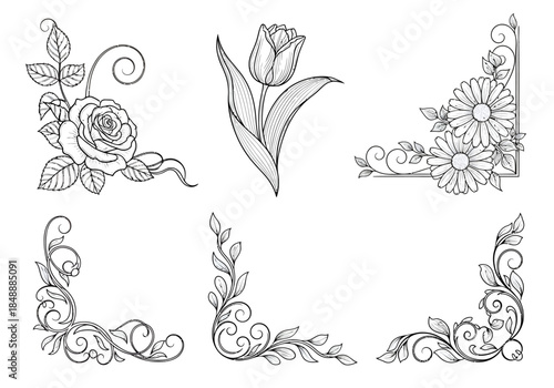 Five black and white floral illustrations featuring corner elements and a single tulip