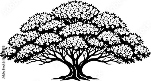Black and White Detailed Tree Silhouette Illustration