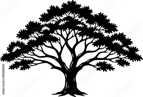 Majestic mature tree silhouette vector illustration graphic icon