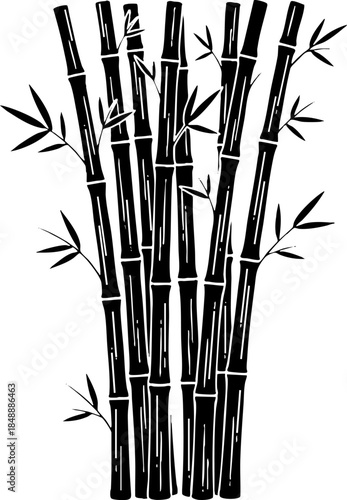 Decorative black bamboo plant stalks and leaves illustration