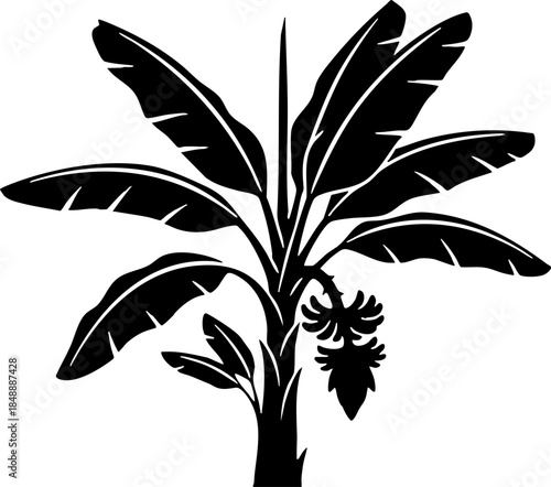Tropical Banana Tree Silhouette Vector Illustration Graphic