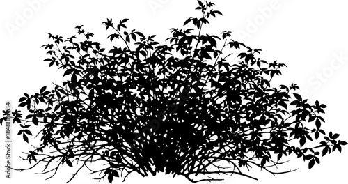 Isolated Black Silhouette of Natural Leafy Bush Graphic Element