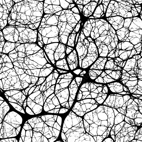 Neuron Network, Black and White, Microscopic View and Isolated on White