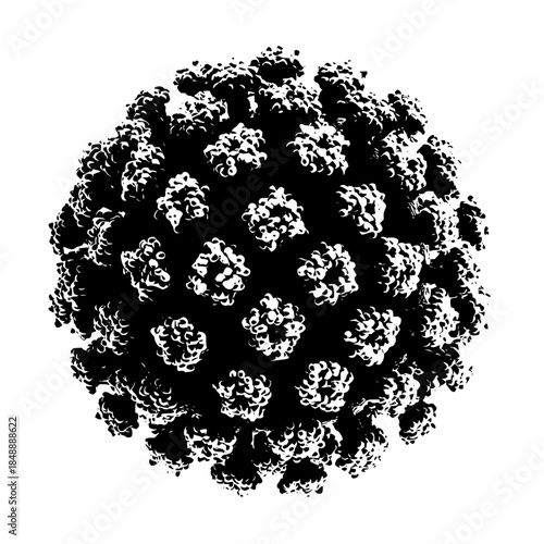 Coronavirus Virus Particle Isolated on White Background