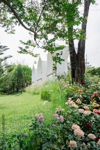 Modern White Gable Houses in Lush Garden with Blooming Roses
