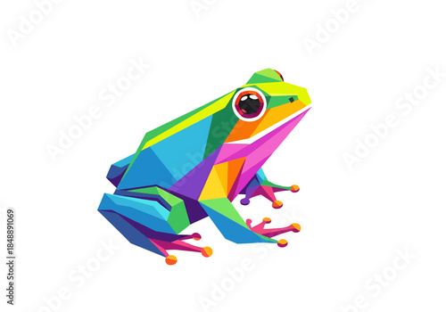 Stylized colorful geometric frog illustration on a white background