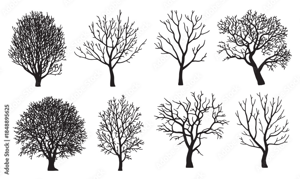 Obraz premium collection of eight diverse black silhouette trees without 