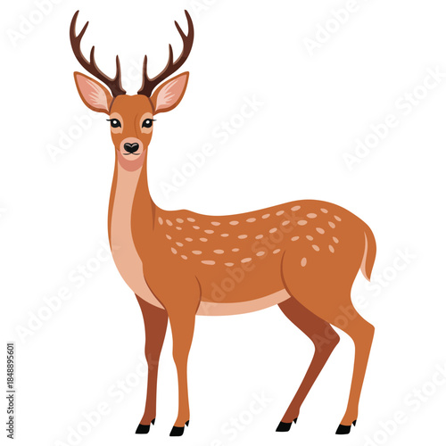 deer vector illustration