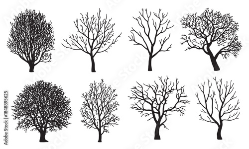 collection of eight diverse black silhouette trees without 