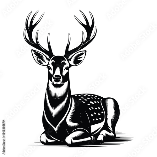 deer vector illustration