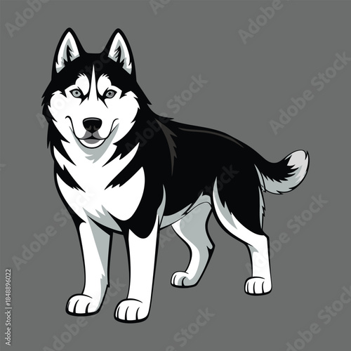 vector image of a dog