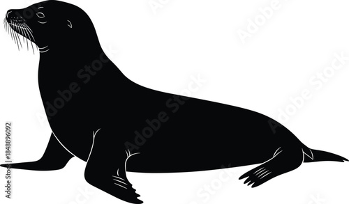 Sea lion silhouette vector illustration, marine mammal resting pose, wildlife ocean animal profile, nature conservation concept, isolated black figure