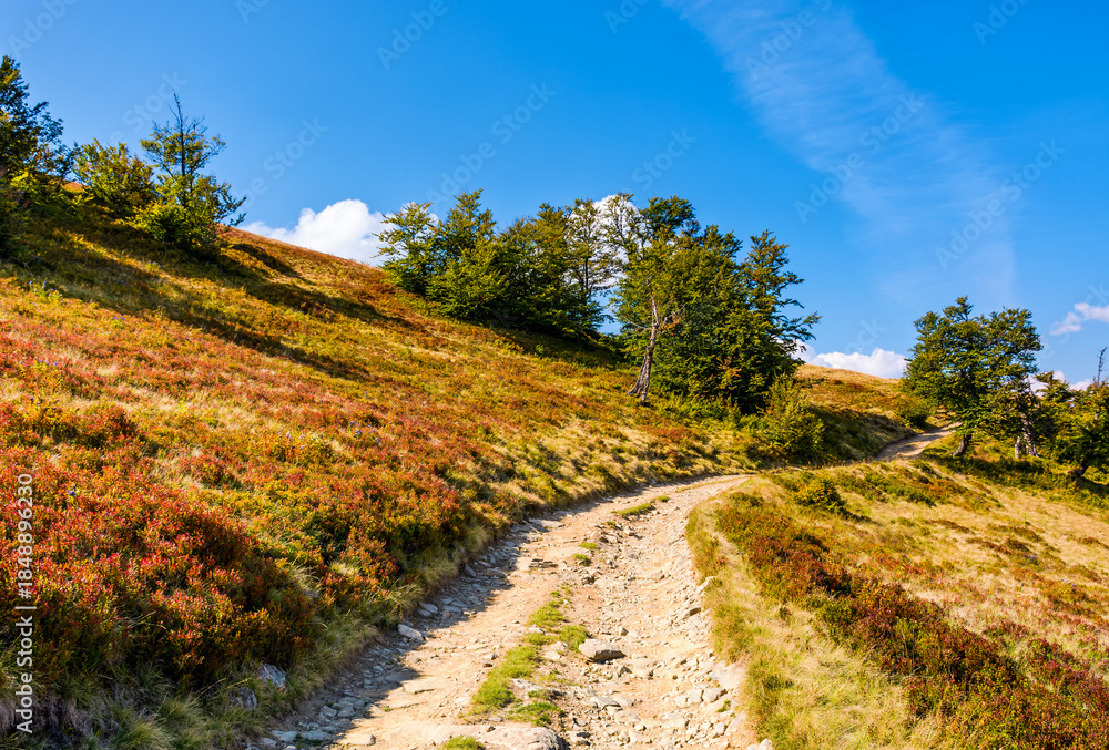 Obraz premium dirt gravel road winding uphill. hiking trail in carpathian mountain landscape under blue sky. traverse path through steep slope. remote place for outdoor adventures. concept for wellness and escape