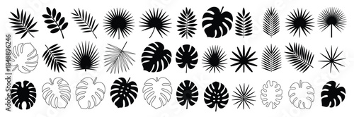 diverse collection of black silhouette tropical palm leaves 