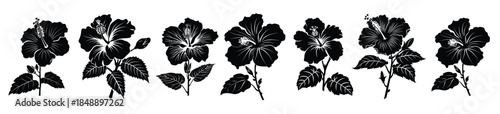  hibiscus flower black silhouette bundle