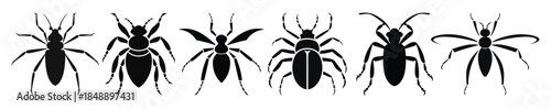  insect silhouette black clipart bundle 