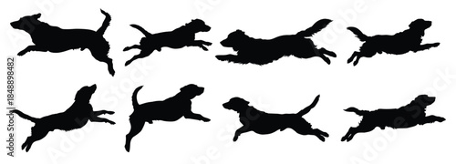 diving dog silhouette black clipart bundle 