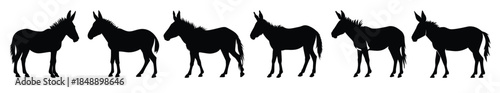 donkey animal silhouette vector art set donkeys silhouettes