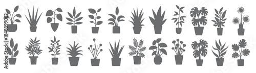 collection of twenty four gray silhouette houseplants
