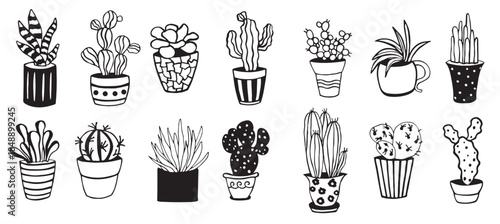  cute hand drawn vector cactus succulents and cacti