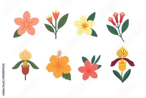 Tropical Exotic Flowers Edition #11—Clove, Ladyslipper, Pink, and Yellow Flowers. Vector Illustration. Design Element. Clip art. Suitable for artwork design. Editable for any design.
