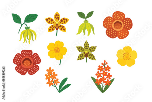 Tropical Exotic Flowers Edition #12—Cananga, Cattleya Guttata, and Rafflesia. Vector Illustration. Design Element. Clip art. Suitable for artwork design. Editable for any design.