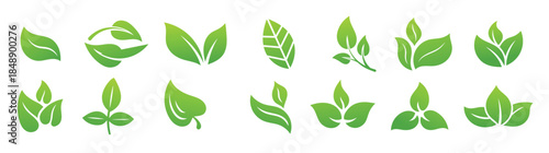 Green leaves set eco friendly collection vector illustration