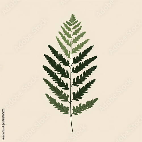 Minimalist vector illustration of a fern leaf on a soft beige background, elegant botanical element for modern design and decor