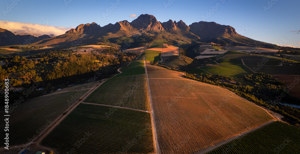 Obraz premium The wine land on Stellenbosch with a sunset view