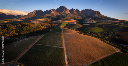 Bild auf Leinwand The wine land on Stellenbosch  with a sunset view