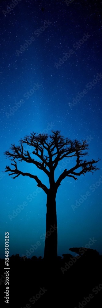 Fototapeta premium Silhouette of a lone baobab tree against a starlit night sky, mysterious, dark