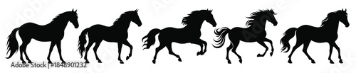horses silhouette set horse black silhouettes bundle